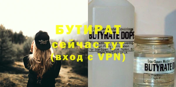 шишки Кирсанов