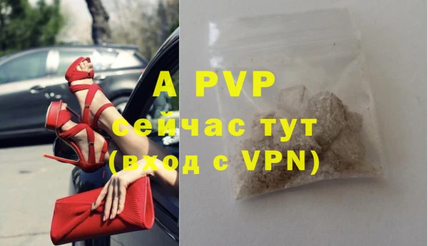 стаф Михайлов