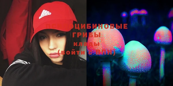 стаф Михайлов