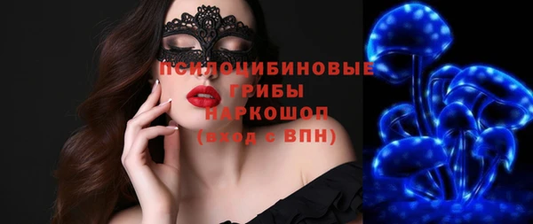 стаф Михайлов