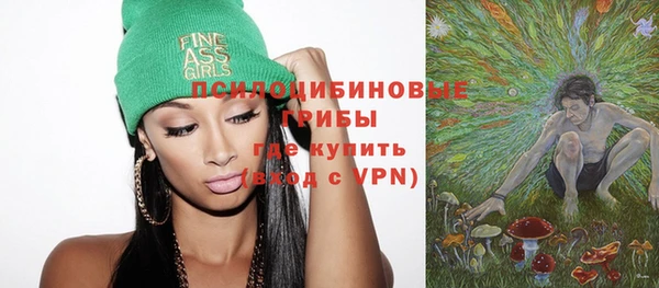 стаф Михайлов