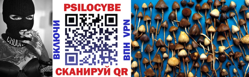 Псилоцибиновые грибы прущие грибы  как найти закладки  Нолинск 